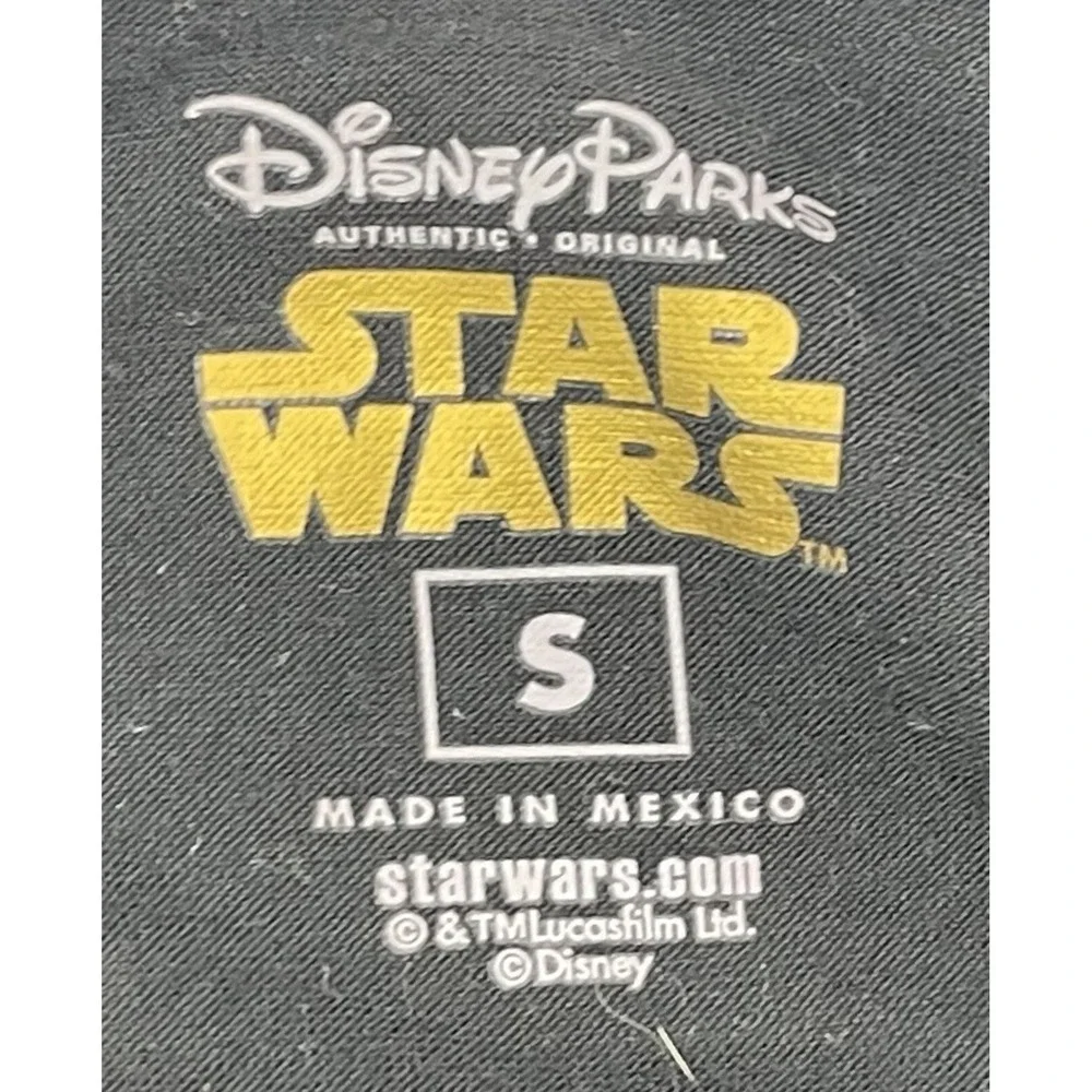 Disney parks star